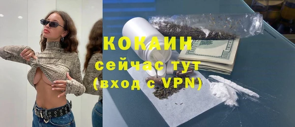 мет Бородино