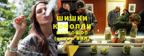 мет Бородино
