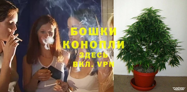 герыч Бронницы